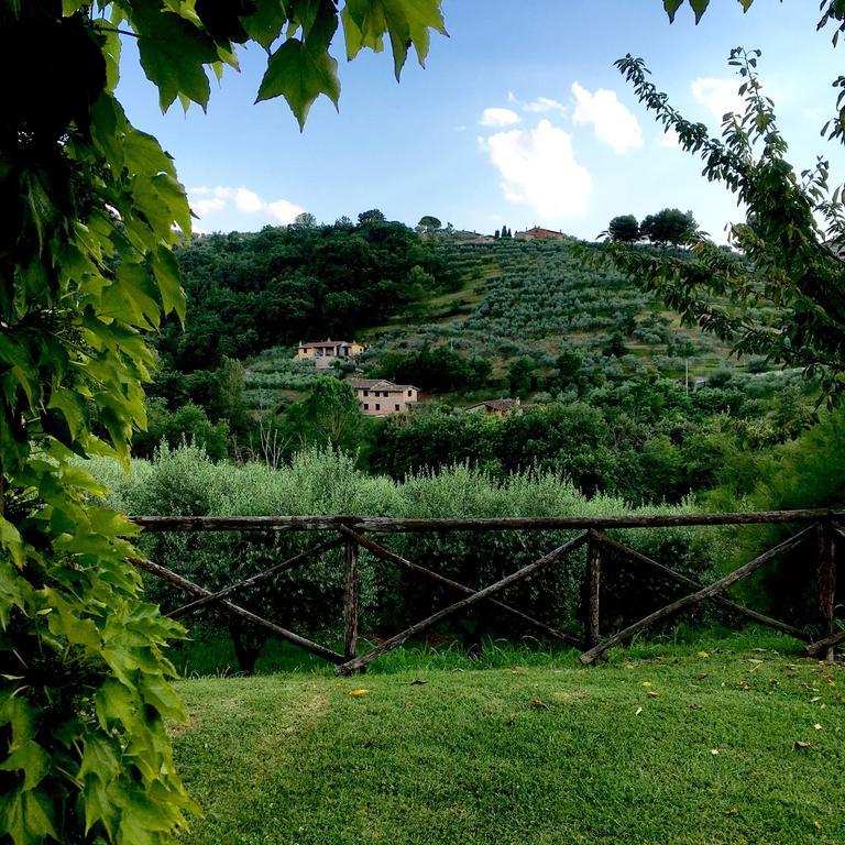 Agriturismo La Montagnola Torgiano Exterior foto