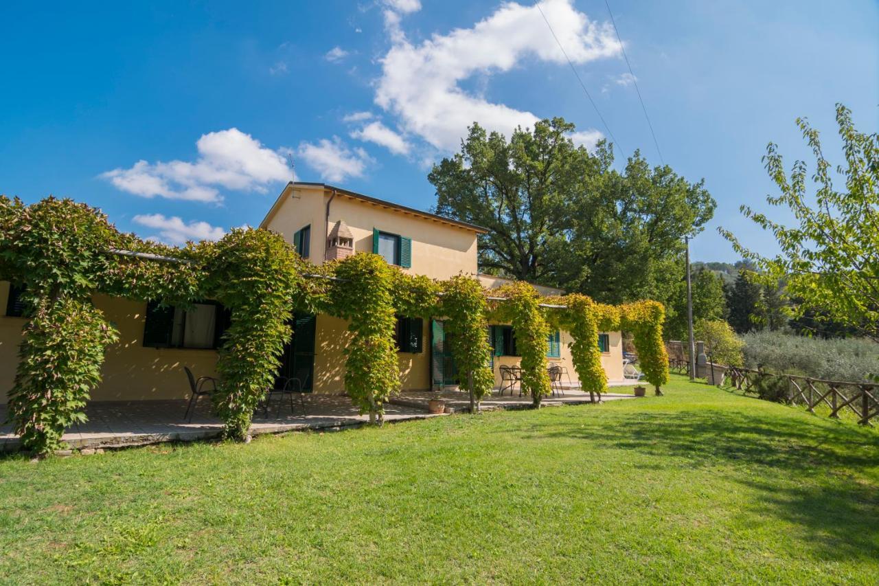 Agriturismo La Montagnola Torgiano Exterior foto